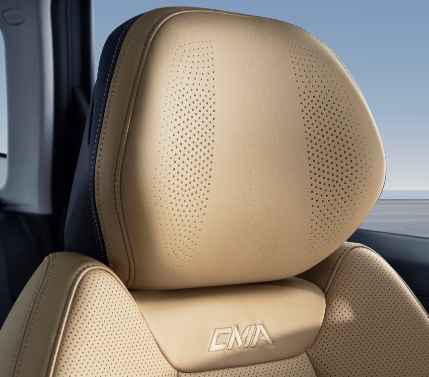 Starray headrest audio system